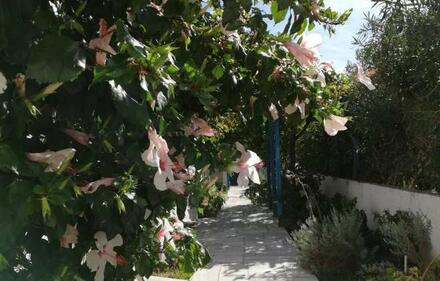 Studio Tinos, Cyclades