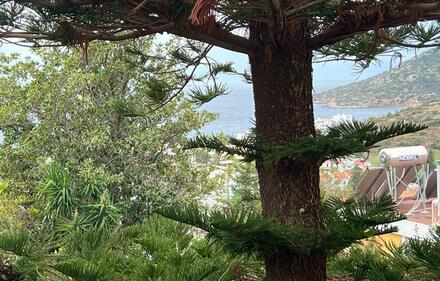 Δωμάτιο για ενοικίαση, Ανάβυσσος, Αττική (Υπόλοιπο)