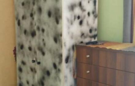 Room to rent, Peristeri, Athens (West)