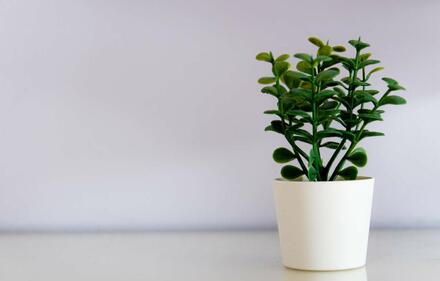 Δωμάτιο για ενοικίαση, Γαλάτσι, Αθήνα (Δυτικα Προάστια)