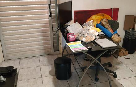 Room to rent, Nikaia, Piraeus (Suburbs)